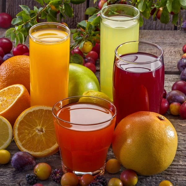 Elektrische Fruchtsaftpresse - 230 Watt 5 Elektrische Fruchtsaftpresse - 230 Watt – Bild 3