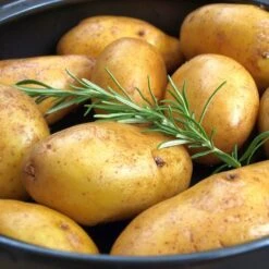 Schnellkochtopf - Ø 320 Mm - Höhe: 230 Mm - Inkl. Deckel -Küchenzubehör Laden 636846196955075494 3b39