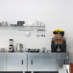 Elektrische Fruchtsaftpresse - Silber - Manuelle Zufuhr - Inkl. Ablasshahn & Reinigungsmodus -Küchenzubehör Laden OBZ Big room b865 1