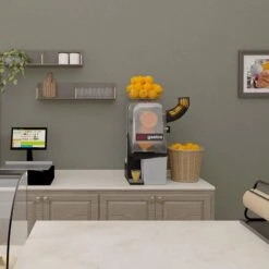 Elektrische Orangenpresse - Orange - Manuelle Zufuhr -Küchenzubehör Laden OMZ max room 0115